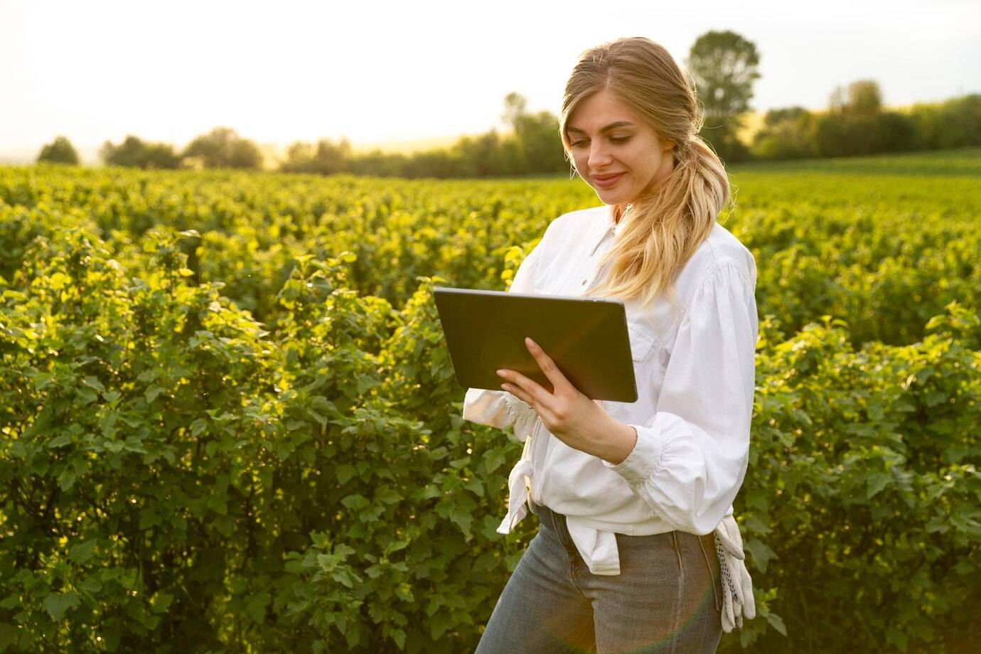 Especialização em Agronegócio: 5 cursos para expandir seus conhecimentos na área